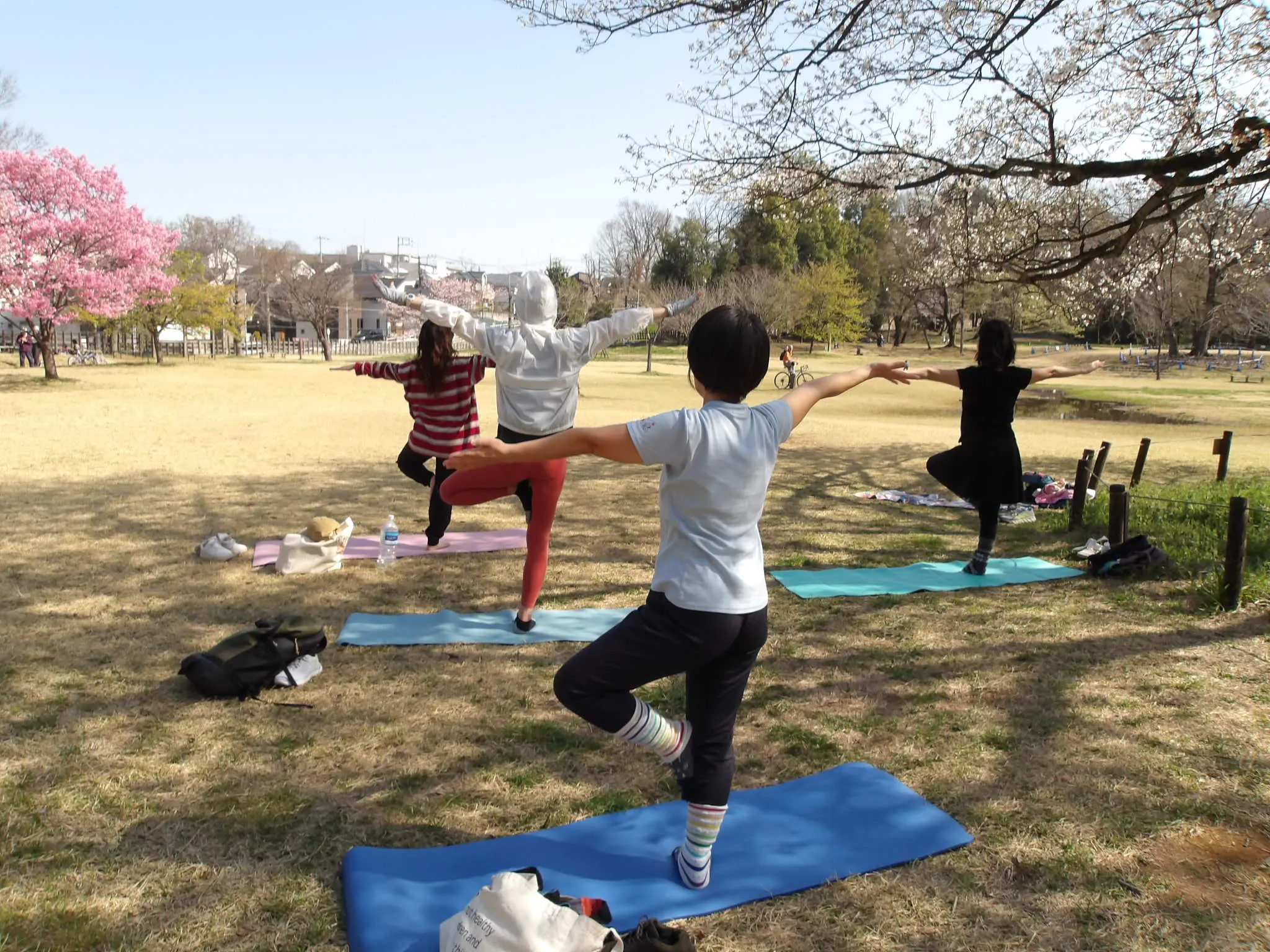 多摩湖満開お花見パークヨガ