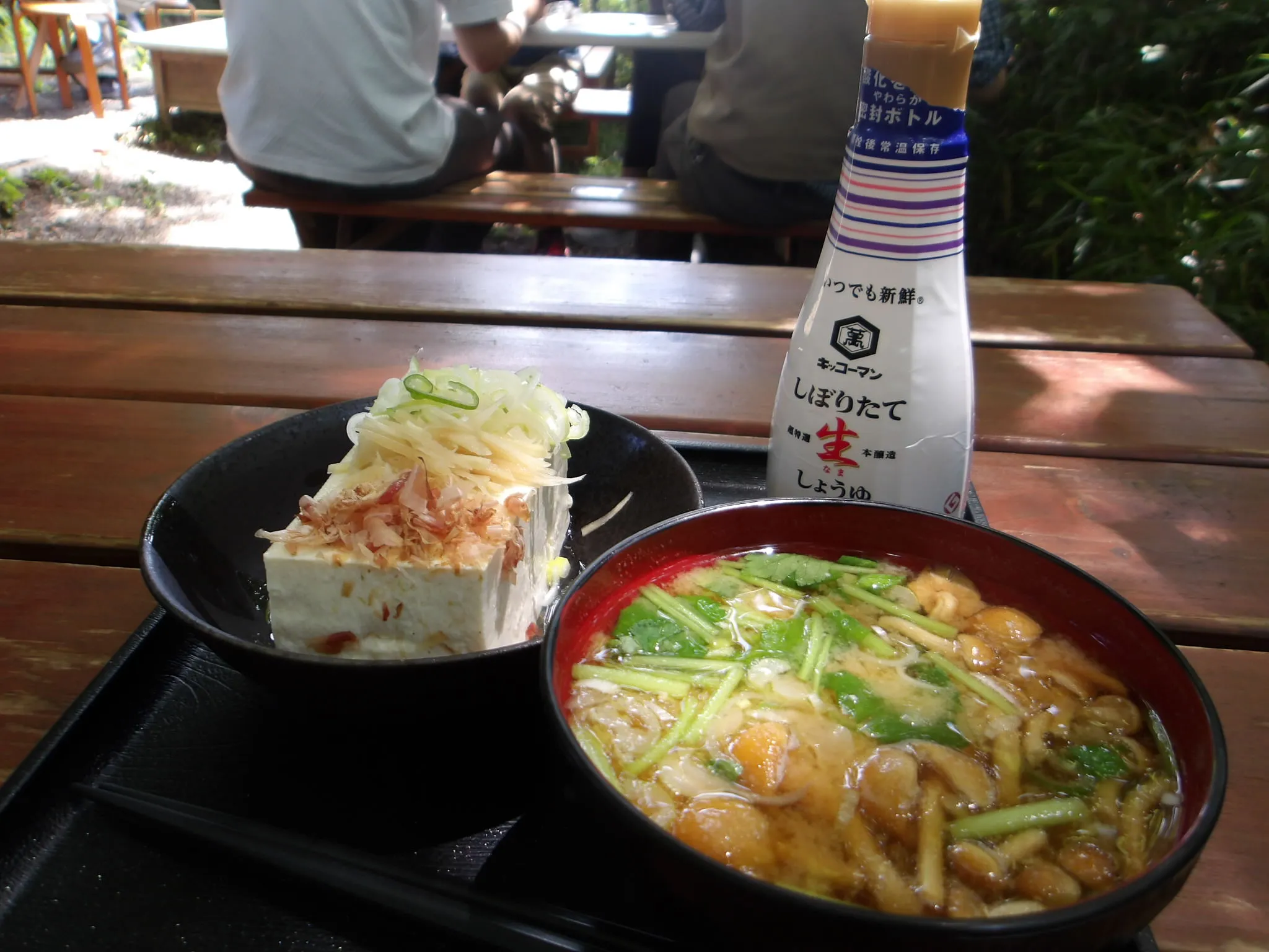 高尾山薬王院ヨガ・気功・精進料理