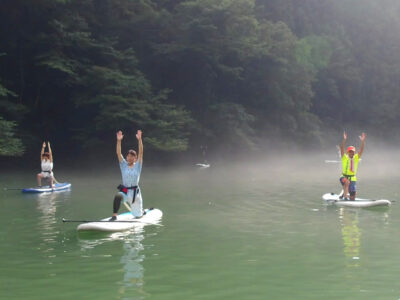 50肩の痛みが良くなりました 画像